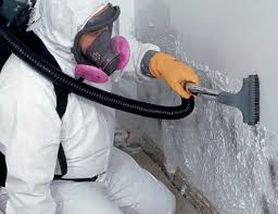 Best Crawl Space Mold Remediation  in Rockport, IN